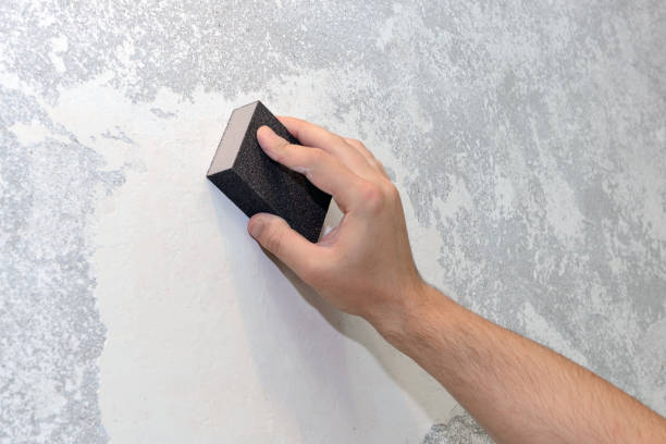 Best Industrial Mold Remediation  in White Hall, IL