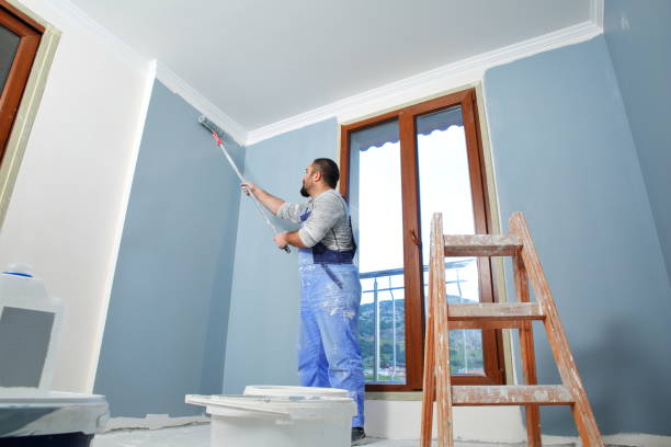 Best Mold Documentation for Insurance Claims  in White Hall, IL