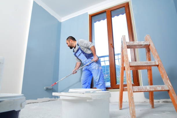 Best Mold Odor Removal Services  in White Hall, IL