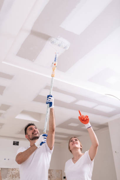 White Hall, IL Mold Removal Company