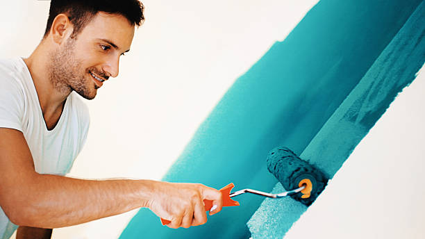 Best Asbestos and Lead Testing During Mold Inspection  in White Hall, IL