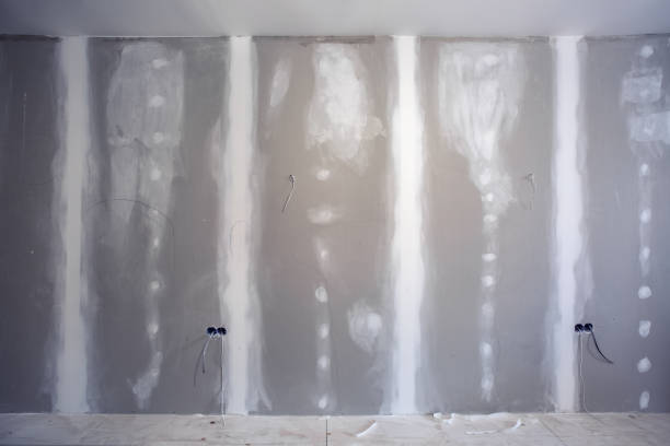 Best Post-Construction Mold Inspection  in White Hall, IL